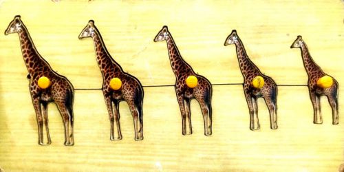Giraffe- Fun with Size